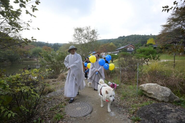 ‘반려견과 함께하는 선명상 축제’ 수천 명의 반려인 및 시민 참여 속 성황리 막 내려 ‘반려견과 함께하는 선명상 축제’ 수천 명의 반려인 및 시민 참여 속 성황리 막 내려